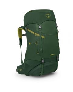 Рюкзак Osprey Ace 38 green canopy - O/S - зелений