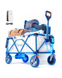 Акумуляторний візок Litheli з двигуном від павербанку (УМБ Litheli Power Bank 20000 mAh, 45 W в комплекті)