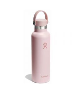 Термочашка Hydro Flask 600 ml Standard Flex Cap