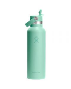 Термочашка Hydro Flask 600 ml Standard Flex Straw Cap